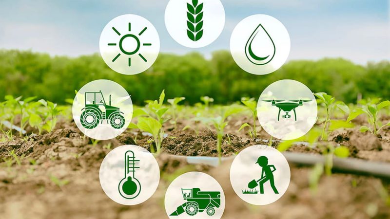 IOT- in-agriculture-today